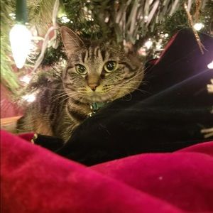 Meet your Posher, Christina